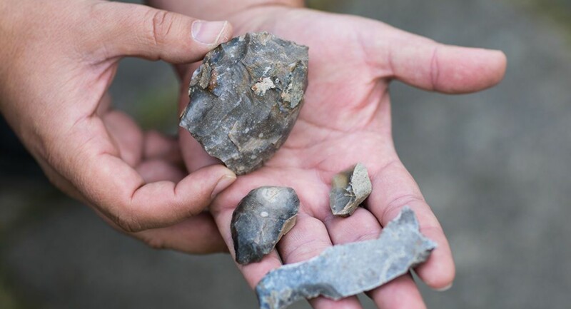 Київські археологи виявили кургани віком близько 4 тисяч років